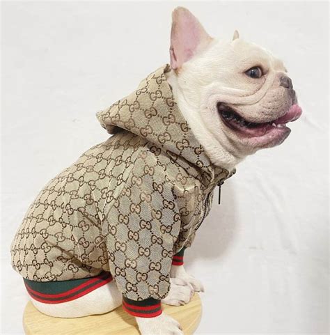 replica gucci dog clothes|high end designer dog clothes.